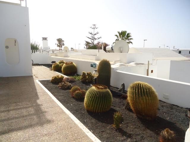 Apartamentos Panelo Puerto del Carmen  Oda fotoğraf